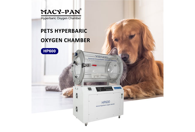 m size hp600 pet hyperbaric chamber